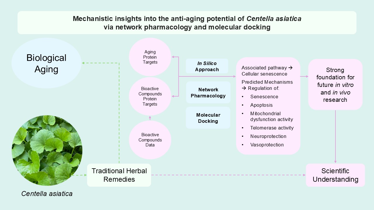 Graphical Abstract